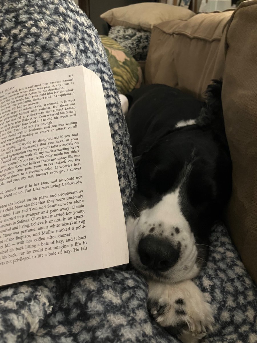 Sleeeepy