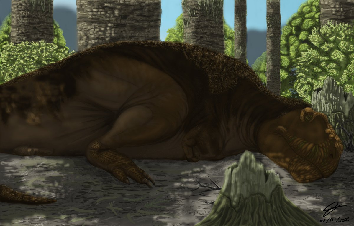 HugoVal966's tweet photo. A la sombra de gigantes prehistóricos un 𝑀𝑒𝑟𝑎𝑥𝑒𝑠 𝑔𝑖𝑔𝑎𝑠 toma un descanso para evitar el calor...🦖
#prehistoric #paleoart #paleontology #paleontologia #dinosaurs #dinosaur #digitalarts #theropod #meraxes #meraxesgigas #patagoniaargentina🇦🇷 #paleoarte #paleobotany https://t.co/T1uG3ElgWu