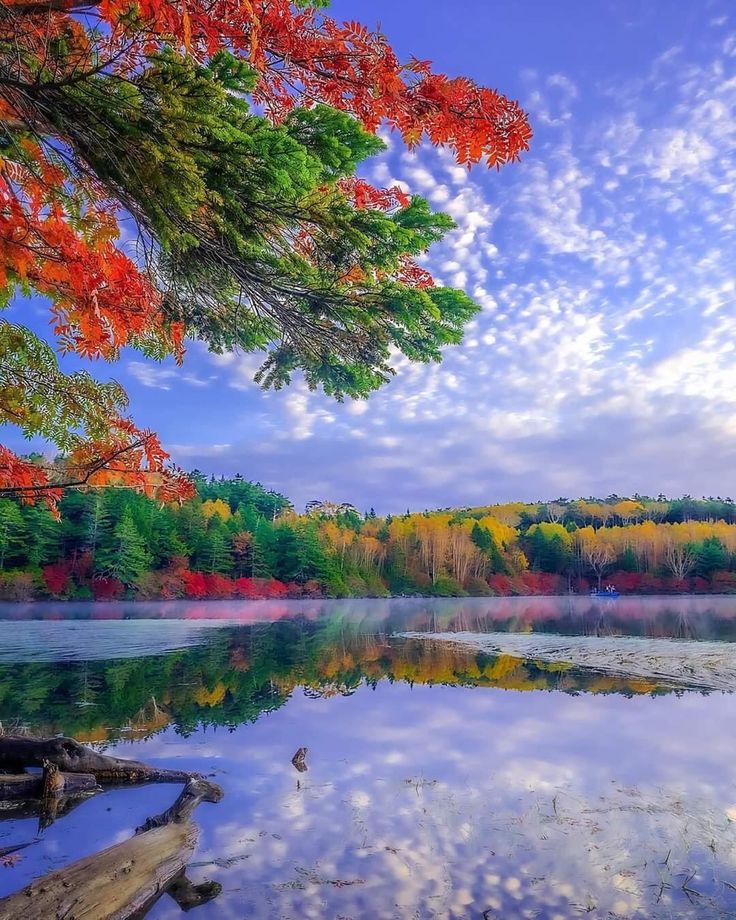 ❤️· · • • • ✤ • • • · ·💚
         💚✤ ✤ ✤❤️
  🍂 Have a peaceful 🍂
🍁New Day everyone🍁
            ❤️✤ ✤ ✤💚
       💚· · • • • ✤ • • • · ·❤️