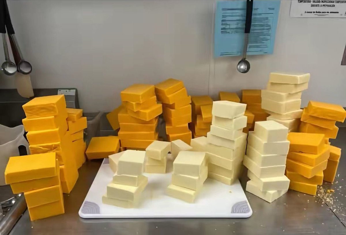 klara_sjo's tweet image. This is ninety pounds of cheese.
The average American eats this much cheese every day.
Let that sink in.