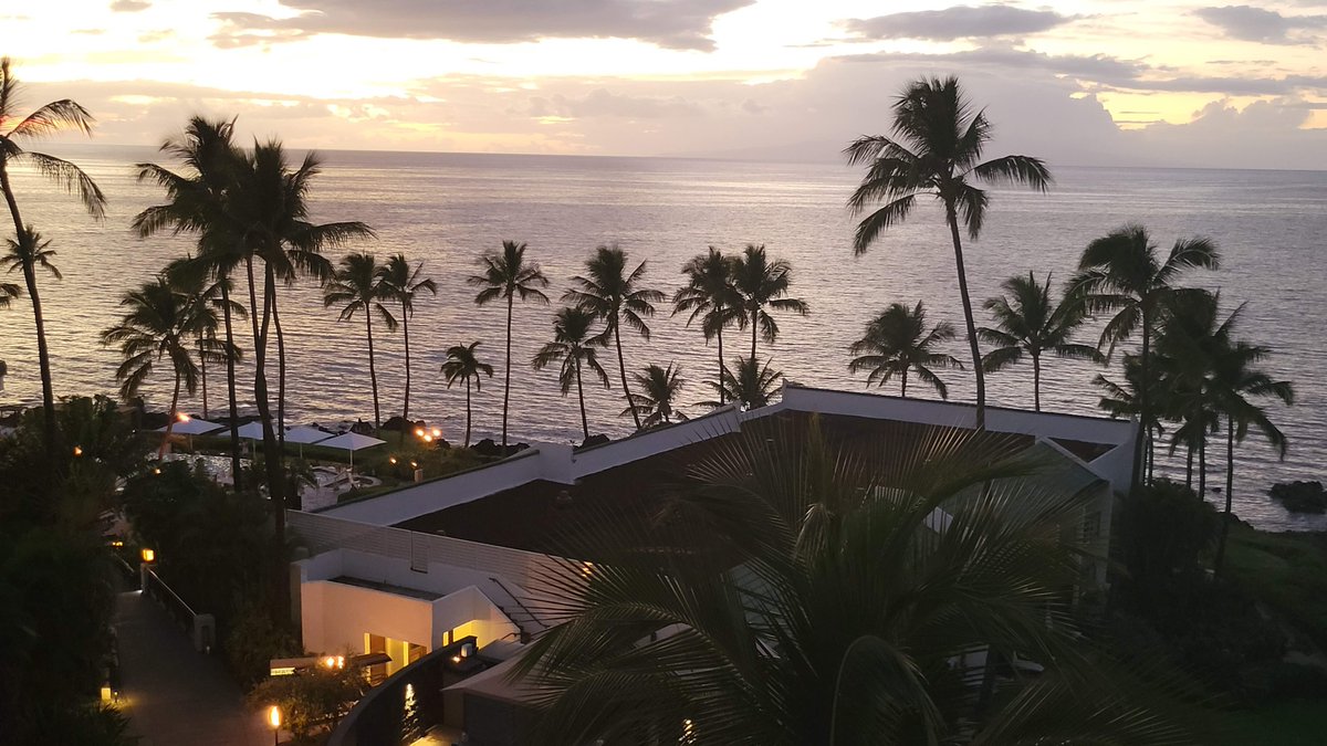 Our rolling Rogues have been BUSY! Tracy Clark is filling us in on her recent travel research, book conventions, and her work in progress.
🌴 roguewomenwriters.com/have-carry-on-…
#WritersLife #BookConvention #BookResearch #WIP