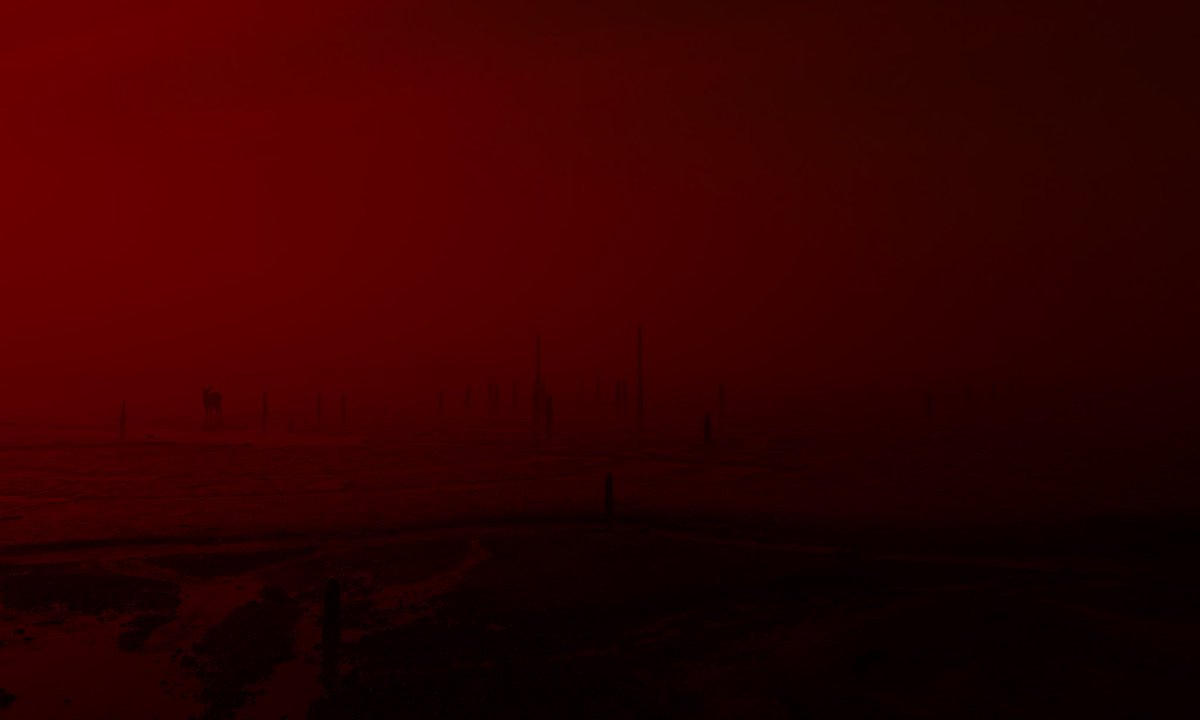 briscoepark's tweet image. The Town Turned Red directed by me