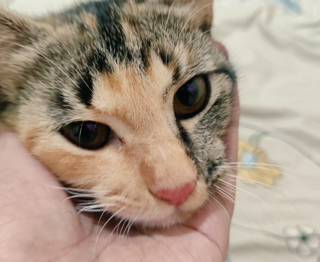 Ditinggal dulu ya nakkk ... Jangan beranak kauuu