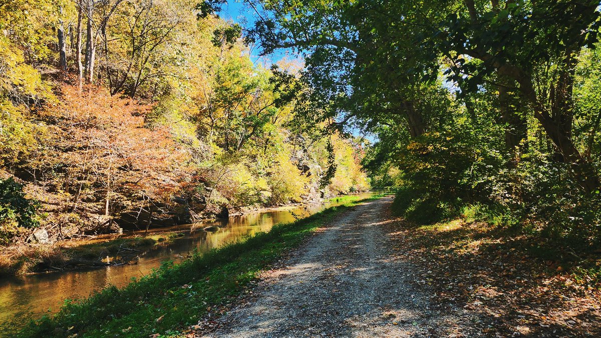 ramiplss's tweet image. Can't believe I hadn't gone on this walk yet when it's so close. So many turtles