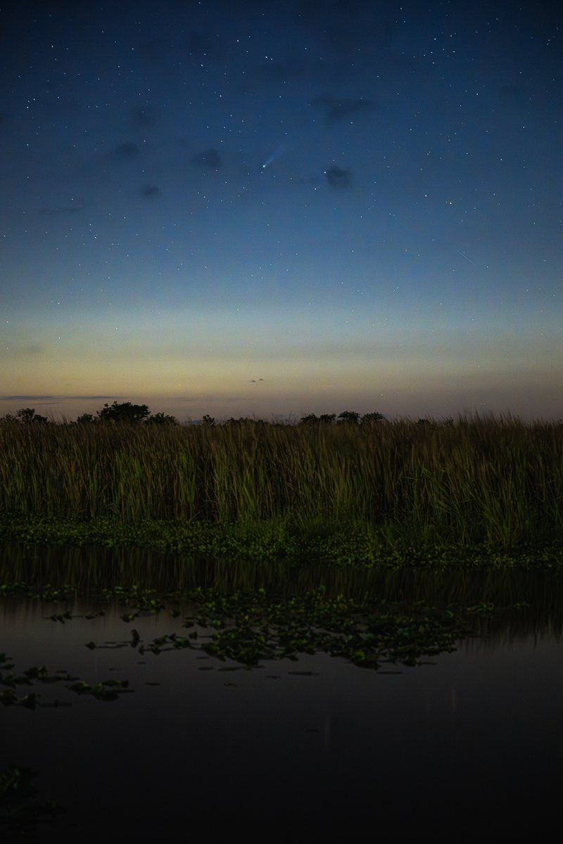 johnkrausphotos's tweet image. Comet C/2025 A6 (Lemmon) over the marshes of central Florida tonight.

Hurling through deep space, the comet, like so many objects in the night sky, is a faint beacon of hope that space can remain a source of inspiration and unity for humanity, if we choose to make it so.