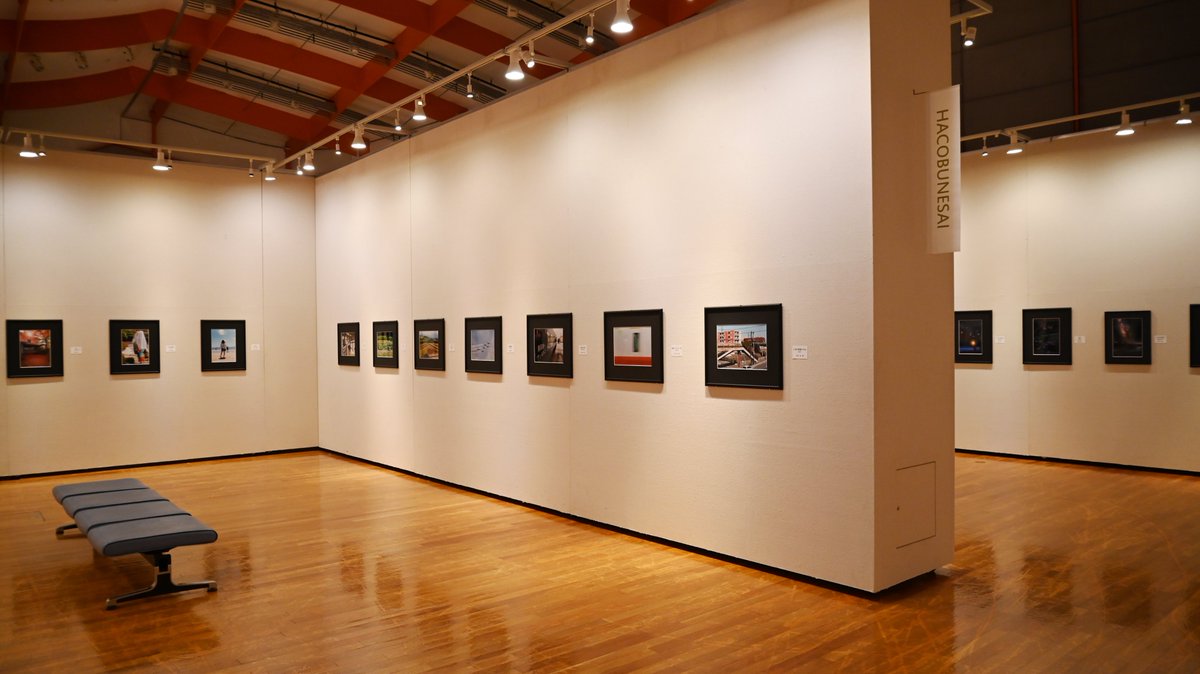 リア美は今日2025.10/22から方舟祭5週目がオープンです。今週は絵画展、写真展、週末にかけてはいけばな展、日曜日は人形劇の公演となります。