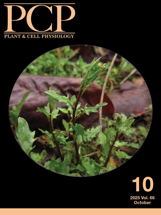 📗PCP New Issue (66-10) is online!
The cover shows an Arabidopsis halleri subsp. gemmifera plant bolting in March 2018, by which time the amplitude of the diel transcriptomic rhythms had recovered and plant growth had resumed. 

Photo credit: Dr. Tomoaki Muranaka (Nagoya Univ.).