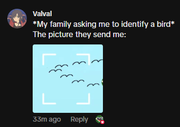 Flock Around tweet media