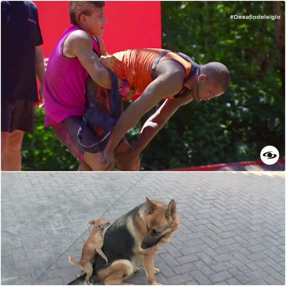 JAJAJAJAJAJAJAJAJAJAJAJAJAJAJAJAJAJAJAJAJAJAJAJAJAJAJAJAJAJAJAJAJAJAJAJAJAJAJAJAJAJAJAJAJAJAJAJAJAJAJAJAJAJAJAJAJAJAJAJAJAJAJAJAJAJAJAJAJAJAJAJAJAJAJAJAJAJAJAJAJAJAJAJAJAJAJAJAJAJAJAJAJAJAJAJAJAJAJAJA

#DesafioDelSigloXXI 
#DesafioDelSiglo