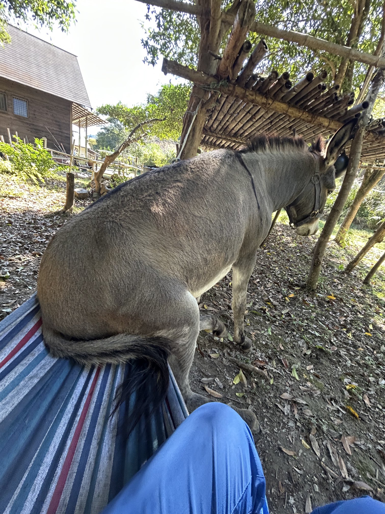 Posts with replies by ツルキミ (@TJo95V15kl35013) / X