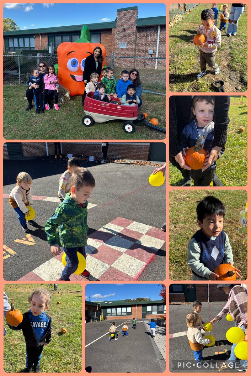 KoestlersKids's tweet image. Thank you @SDSPTO ! We loved pumpkin picking! @HazletProud @SycamoreECLC