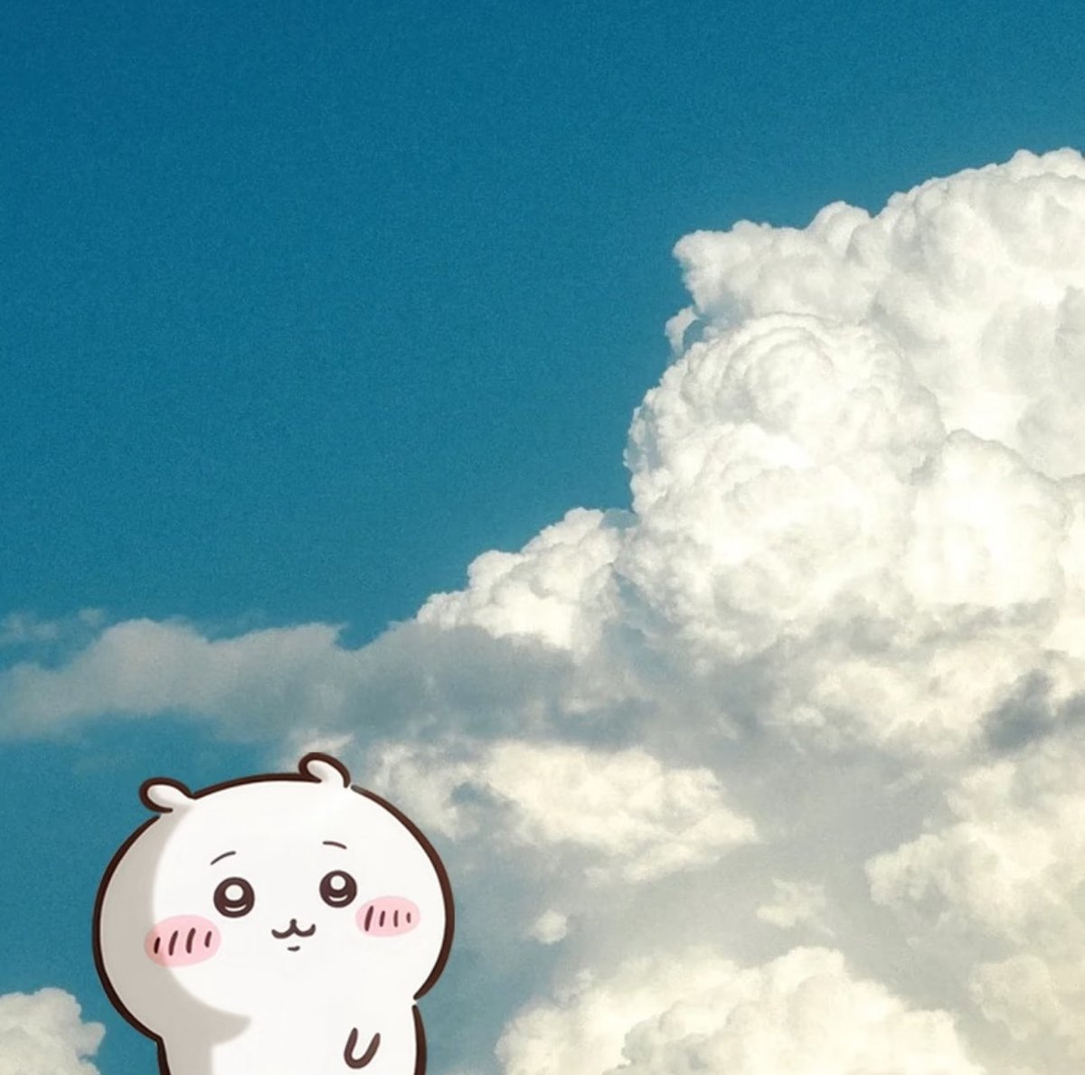 想吃饭了bb (@ziitaa314) on Twitter photo 