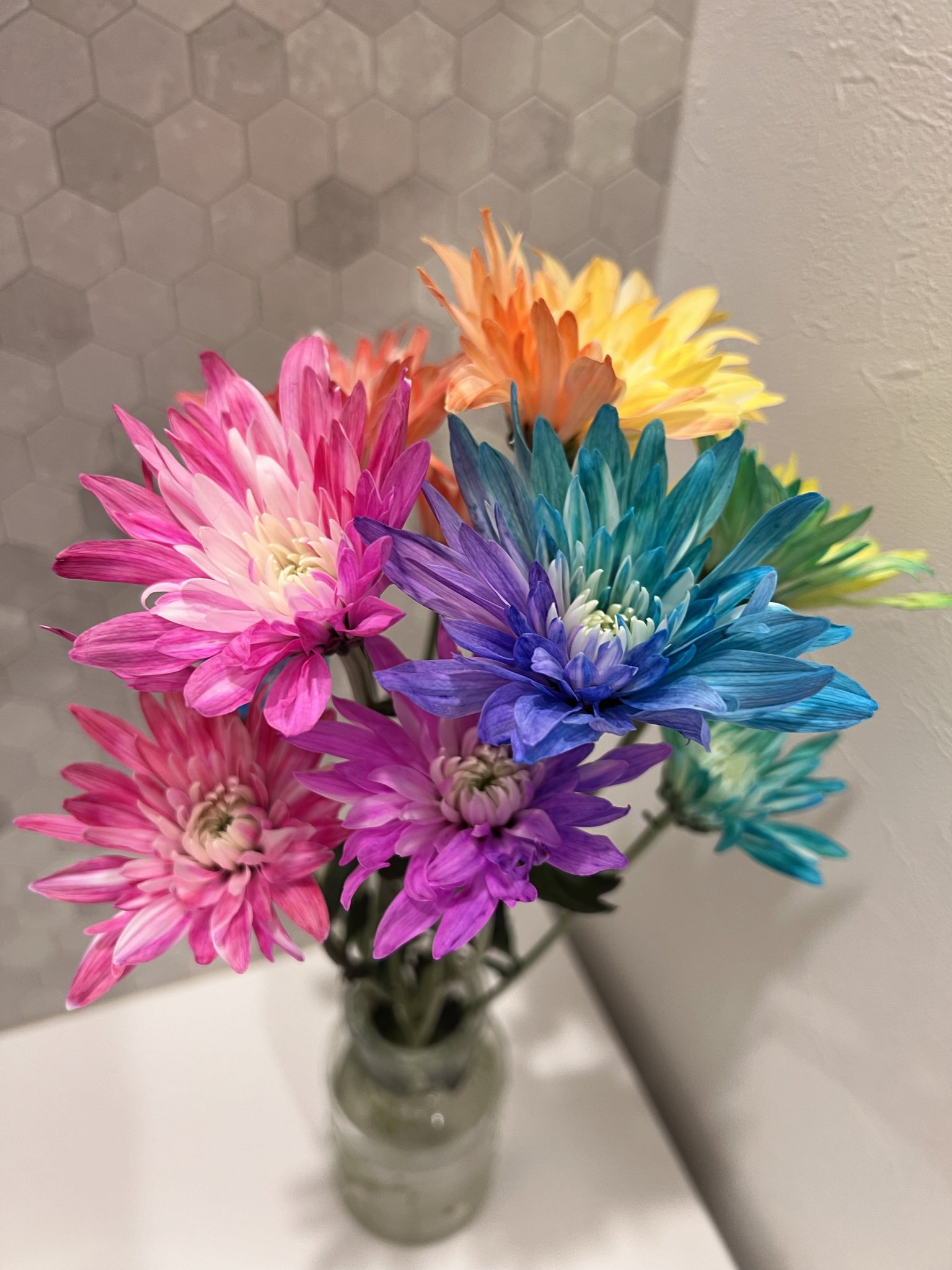 【即発送 新品未開封】タケヤマノリヤ ケローネン ピンクス デザフェス ユッチー タケヤマノリヤ ケローネン ピンクス デザフェス お