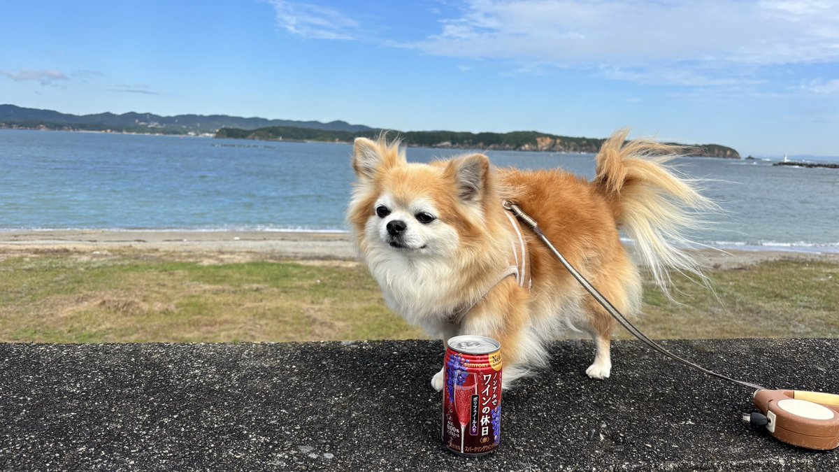 E3%83%AF%E3%82%A4%E3%83%B3%E3%81%AE%E4%BC%91%E6%97%A5