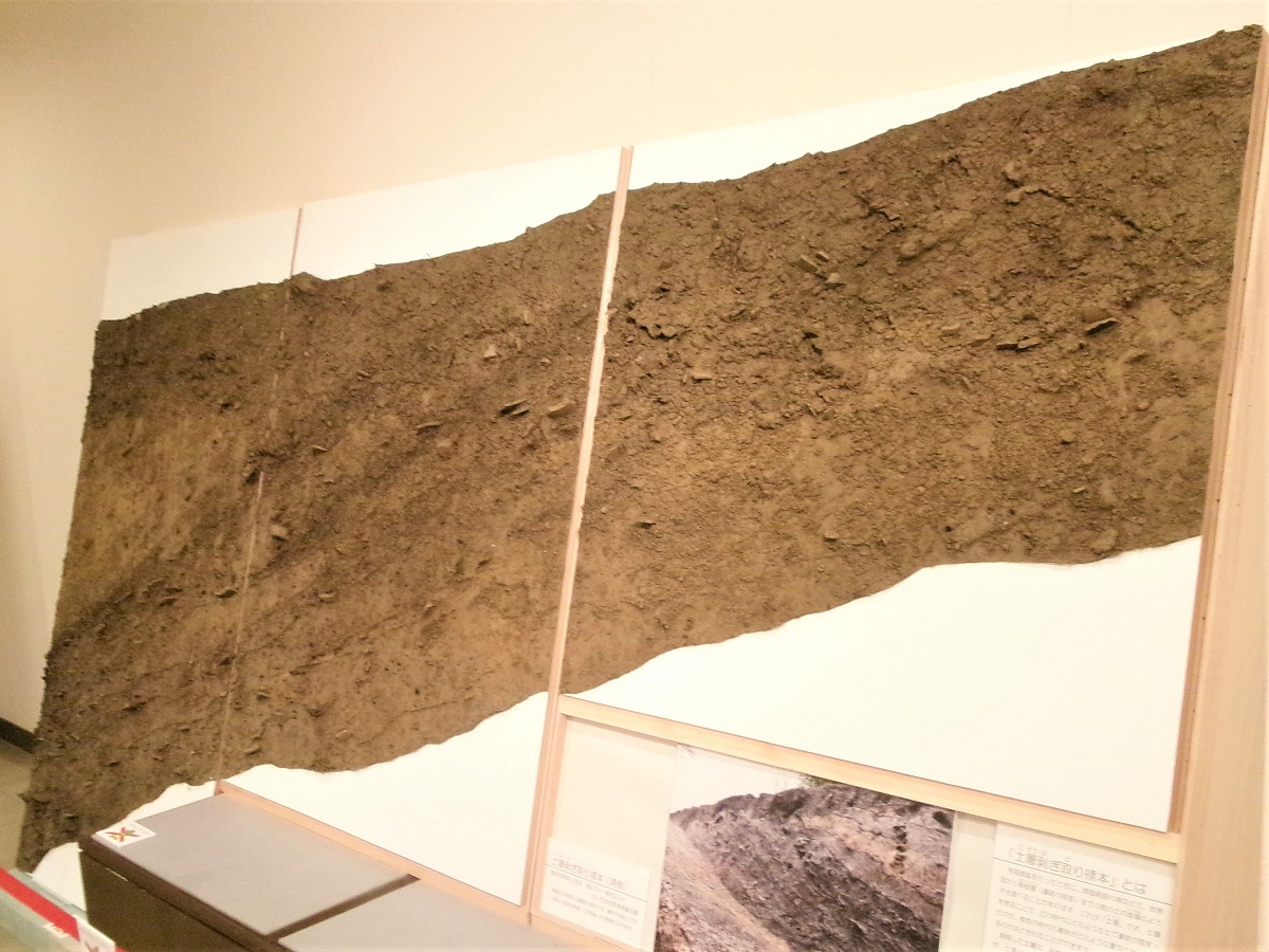 さいたま市の博物館 on X