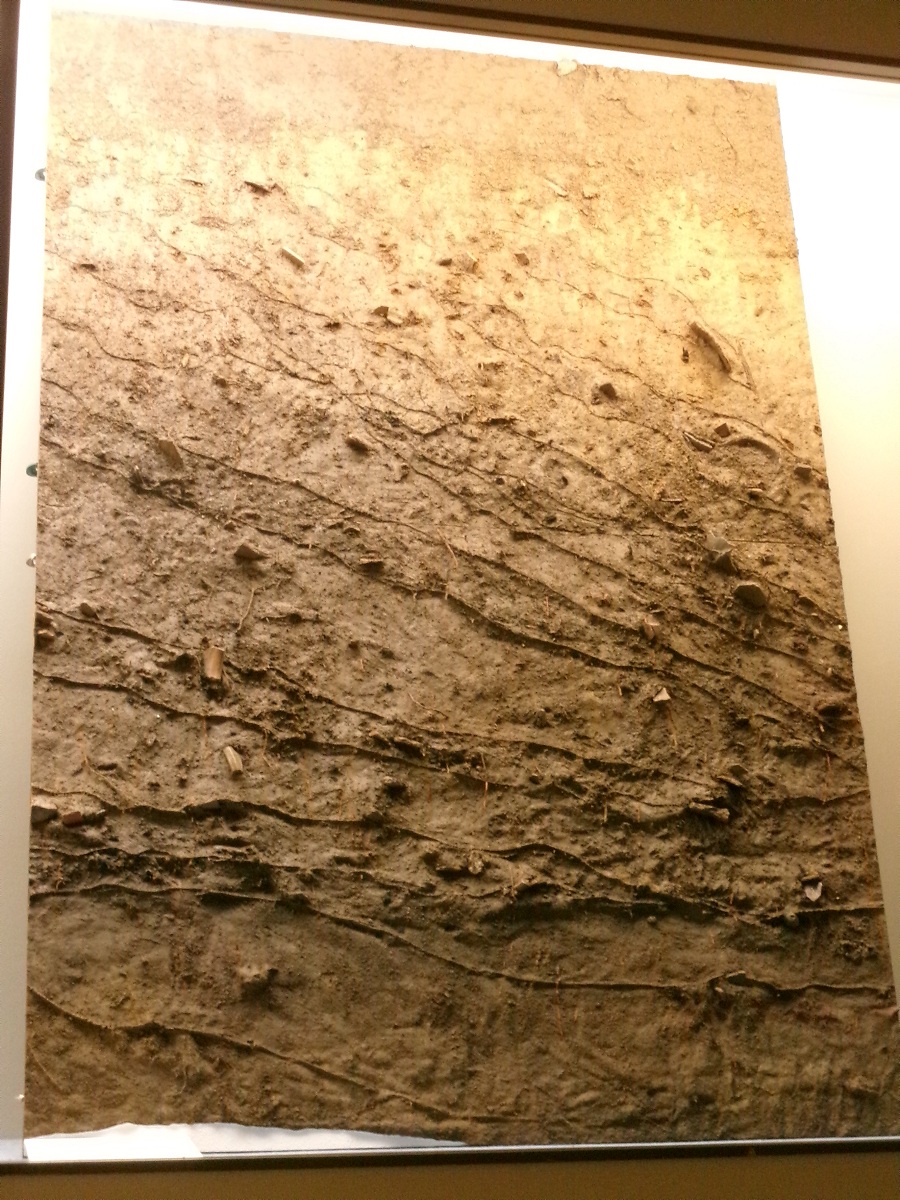 写真でみる　大宮の昔と今　m3 写真でみる 大宮の昔と今 m3 写真でみる 大宮の昔と