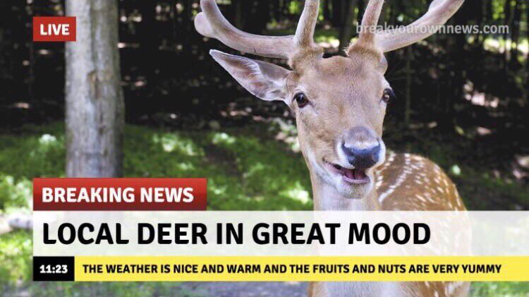 Fun way to kick off the season. I think a lot of people are underestimating how good the Bucks can be. #Fearthedeer