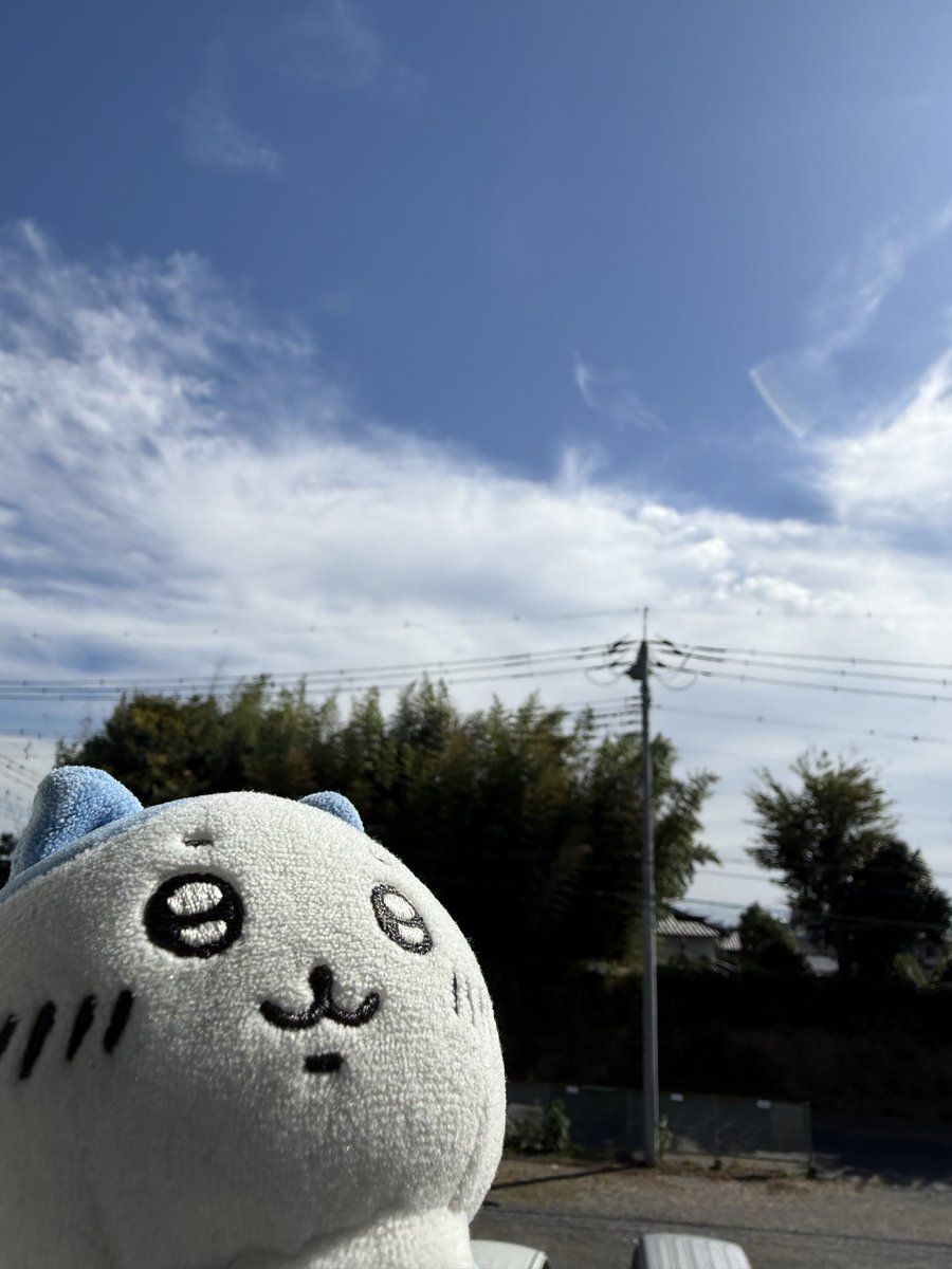 ご迷惑をお掛けしております🙇‍♂️

生存報告です。
元気です💪