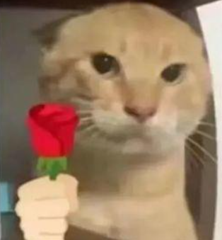 可乐Cokecool_ tweet media