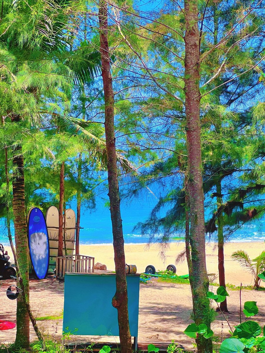 Sunlight weaves through trees, tangled in ocean blue. Sand still breathes the tide; palms sway slow, and summer laziness melts into this blue-green daydream.
#BeachVibes #SurfModeOn #TropicalBliss #SummerVibes