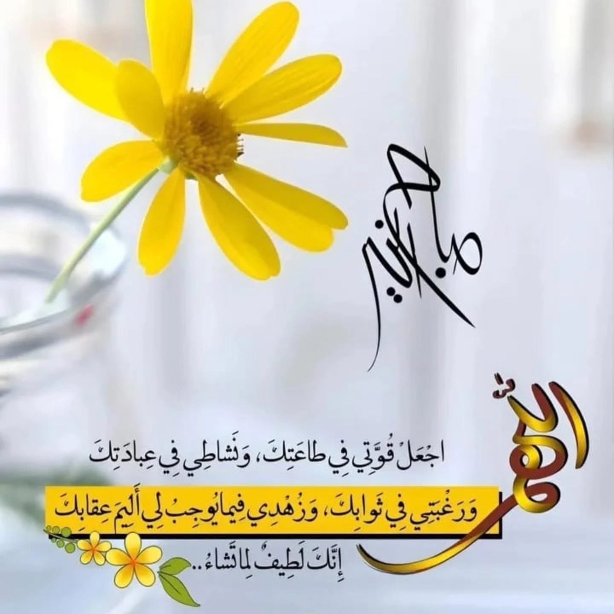 🇰🇼Kefaya alrayes🇰🇼 tweet media