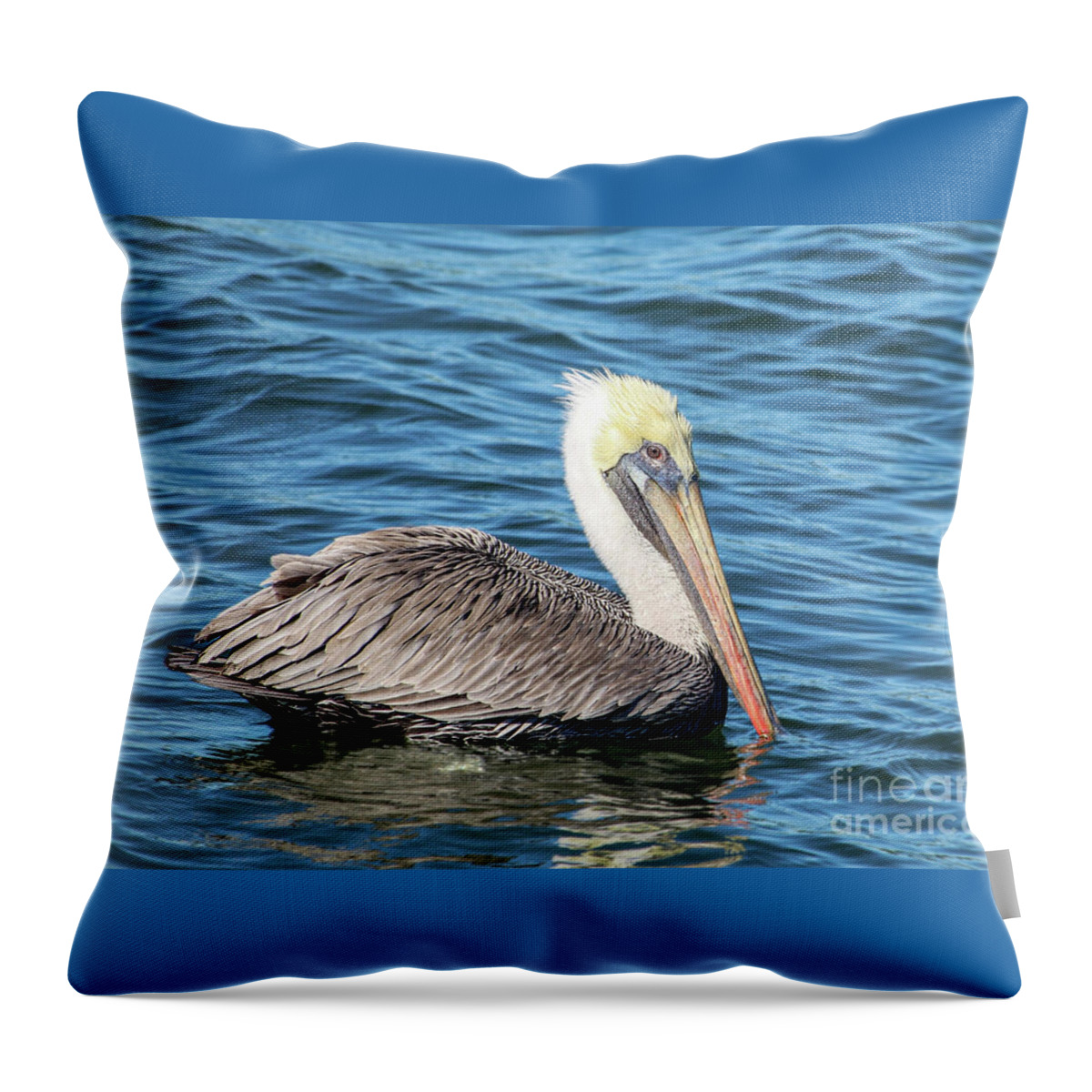 "Brown Pelican Gliding on the Water" #duvet cover and #throwpillow 💙
#wildlifephotography #brownpelican #coastal #homedecor #gifts 

Beautify your home with coastal decor...
     Embrace the sea and the brown pelican

3-joanne-carey.pixels.com