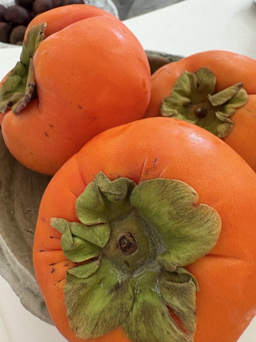 実りの秋。食べ物が美味しい。
ありがたいなぁ🙏✨