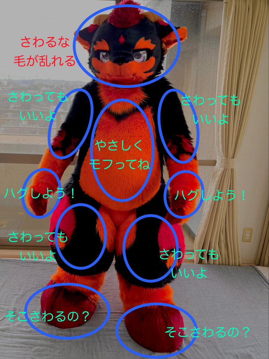 めぁめぁマップ