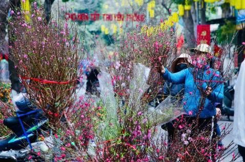 Help247Jsc's tweet image. 内務省が旧正月2026年の休暇日程を発表！ 🎉
Read detail here 👉 helpall247.com/.../vietnam-20…...
#Tet2026 #MinistryOfHomeAffairs #LunarNewYearHoliday