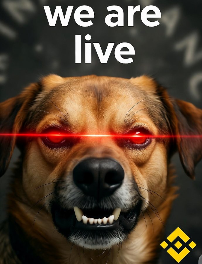 KRYPTO THE BINANCE DOG 🐶 (@KTBD_COMMUNITY) / Posts / X