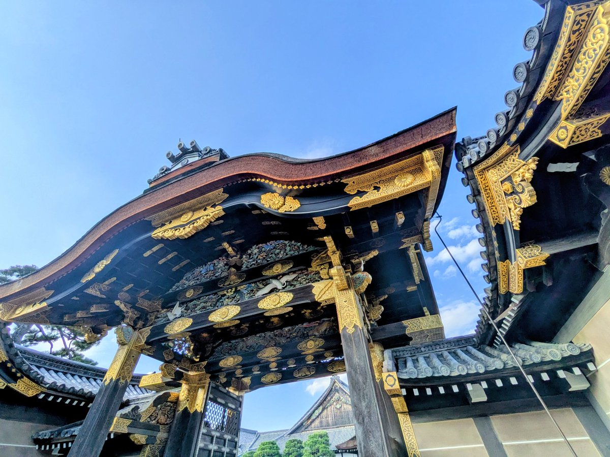i_lunga2009's tweet photo. 母親を連れて年一回の旅行。リクエストで京都へ…話には聞いていたが、ホントに人がいっぱい😅
まあ、自分もその一人ですが😅
高台寺、八坂神社、金閣寺、龍安寺、二条城等など、とても騒がしかったのですが、そんな中世界遺産でも仁和寺はとても静かで癒されました😌

#仁和寺 https://t.co/HZVn93rl6B