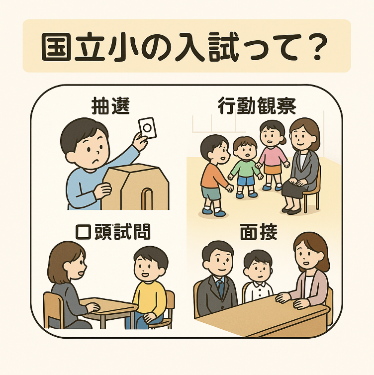 ShingaFarm's tweet photo. 「国立小学校は抽選もあるし、お試しで受けてみる」

そんな声もありますが、実は【行動観察・面接・口頭試問】など、事前にしっかり準備しておきたいポイントがたくさん。

お子さんの“いつもの様子”が試される場面も。
どんな子が求められているのでしょう？👇 https://t.co/ruRmw2ISmQ