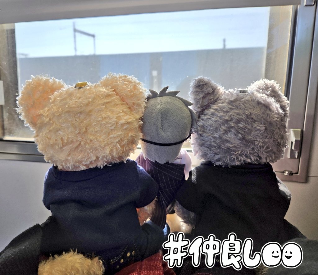 IwG7efkXtEvO6qH's tweet photo. 今日も塚口サンサン劇場に向かいます♦️めっちゃ楽しみ😆
外の景色が気になる我が家のぬい蘭丸と😺達!!
#塚口サンサン劇場
#うたプリTN
#ぬいスタ
#PRINCECAT https://t.co/lVLYOHGPTv