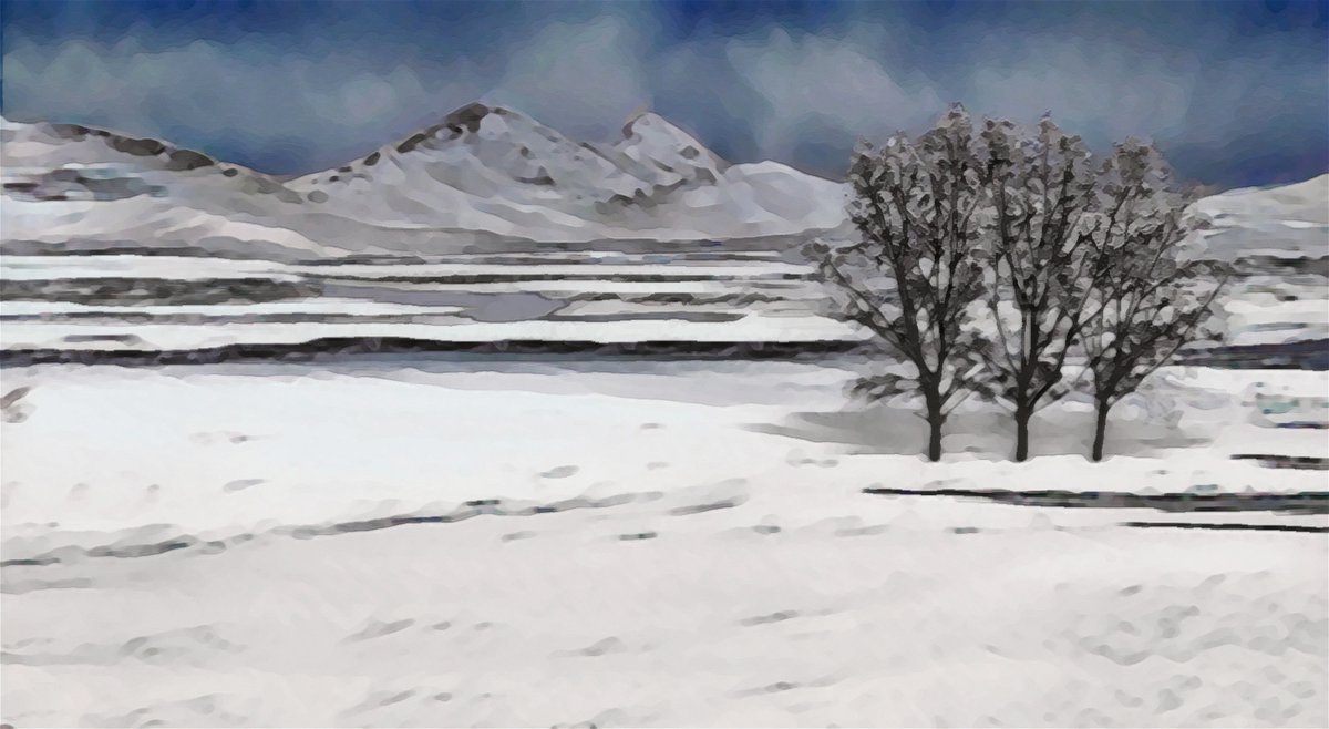 NFT PIXELS (@nftpixels2) on Twitter photo 