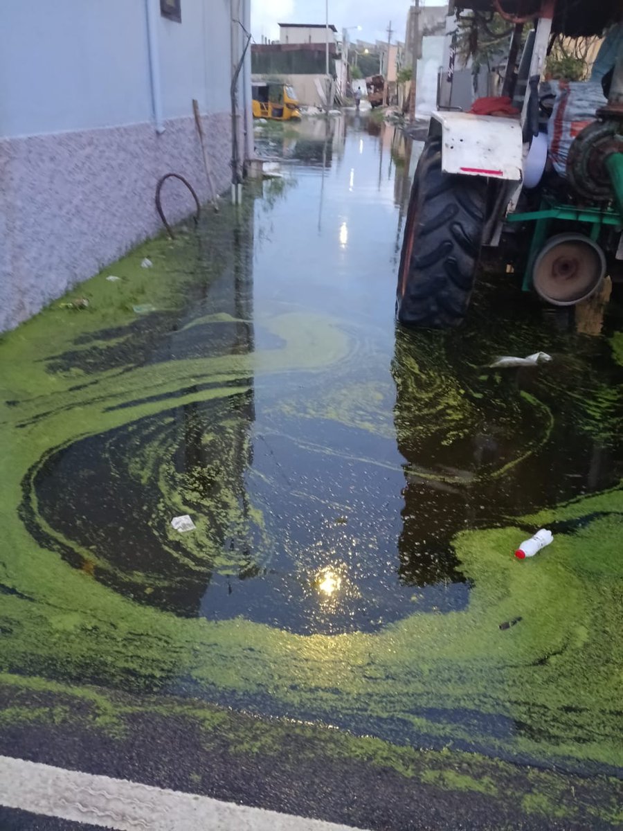 nalainamate77's tweet image. திருவொற்றியூர் வெற்றி விநாயகர் நகர் 5வது தெருவில் குளம்போல் தேங்கிய மழைநீர்!
#ChennaiRains 
#Dengu