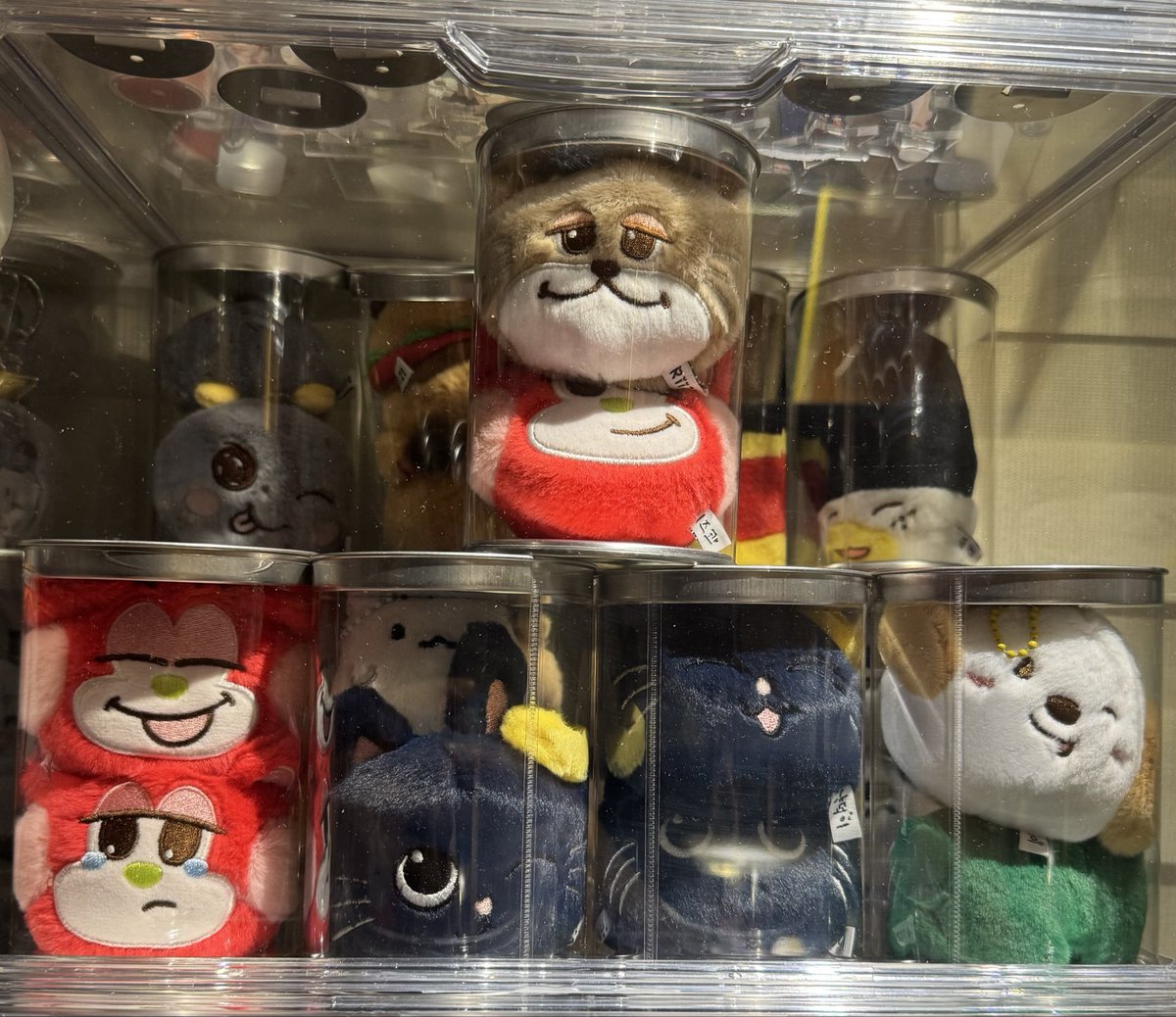 중국 팝업 인형들 도착 완! 쿠션이 찐 왕크왕귀🧡 
덕질존은 이제 진짜 포화상태라 MD 그만 내달라고 하고 싶지만… 그래도 언젠가 MD 낼거면 한국도 “귀여운 거” 내달라!!!!!
#RIIZE #라이즈 
#라이즈_덕질zone_by_briizing_star
