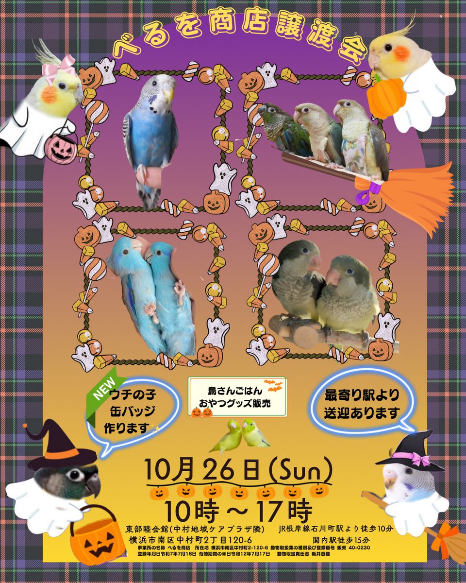 Jack__Sally_'s tweet photo. 週末は横浜へぜひお越しください！！
@bellwo5963 

駅から送迎もあります🚗かわいいちゃんたちがたくさんまっていますよ🩷 https://t.co/9DRXUpETOT