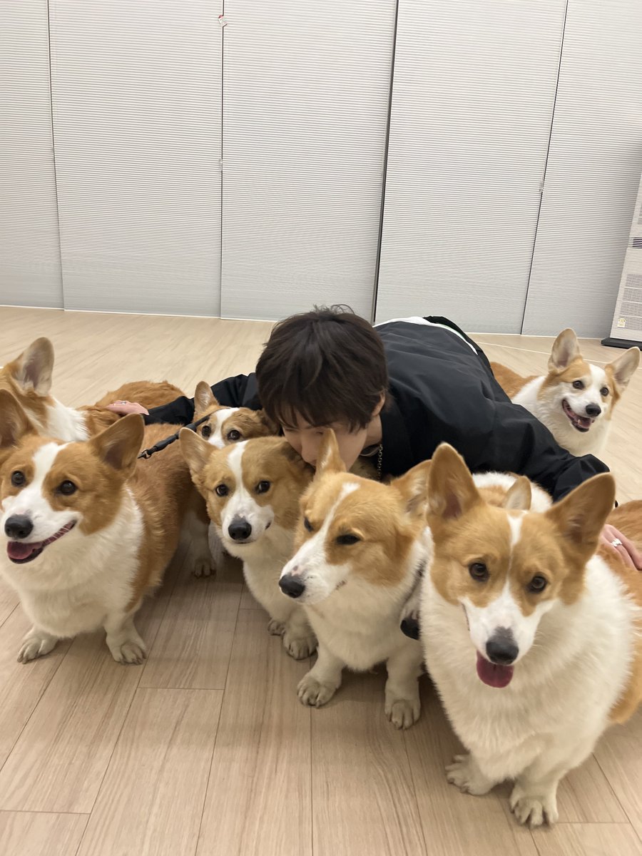 P1H_members's tweet image. [#2025PPP] #Then_vs_Now
#P1Harmony #SOUL ➡️ #INTAK
🐕                                              🐕