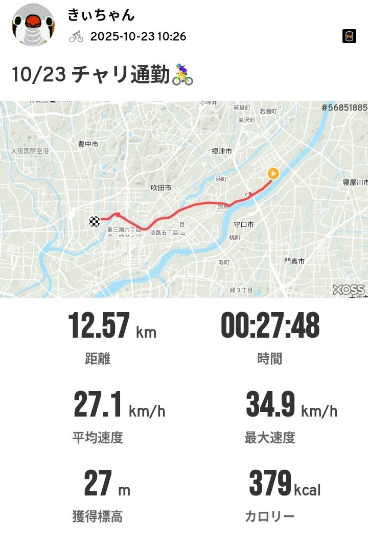 僕きぃㄘゃԽ＊‐ポンコツ店主 (@888ysn) / Posts / X