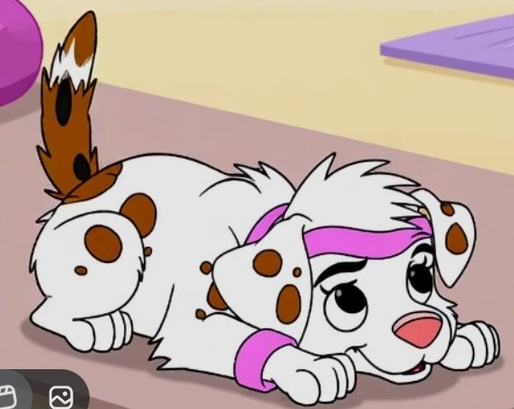 OneFastPaws's tweet image. Hello, my name is Zoey May, or also known as Fast Paws, as my mother calls me. I love exercising in my parents gym, and shaking my booty! My paws are always moving non-stop. 

#Parents @Br3tusMilitGer, @OneAthleticDalm. 
#101DalmatiansRP
#Ships W @SpotReceiver 🐾🥰😊