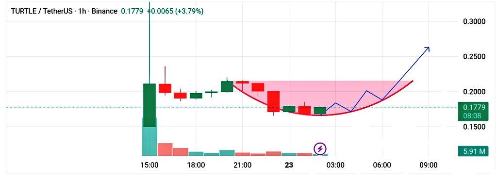 🚀 $TURTLE showing a classic cup &amp; handle pattern on the 1H chart!
Volume building up — potential breakout toward $0.25+ ahead 🐢🔥

Telegram: t.me/whaleshunterne…
Stay sharp, traders. Momentum is returning!