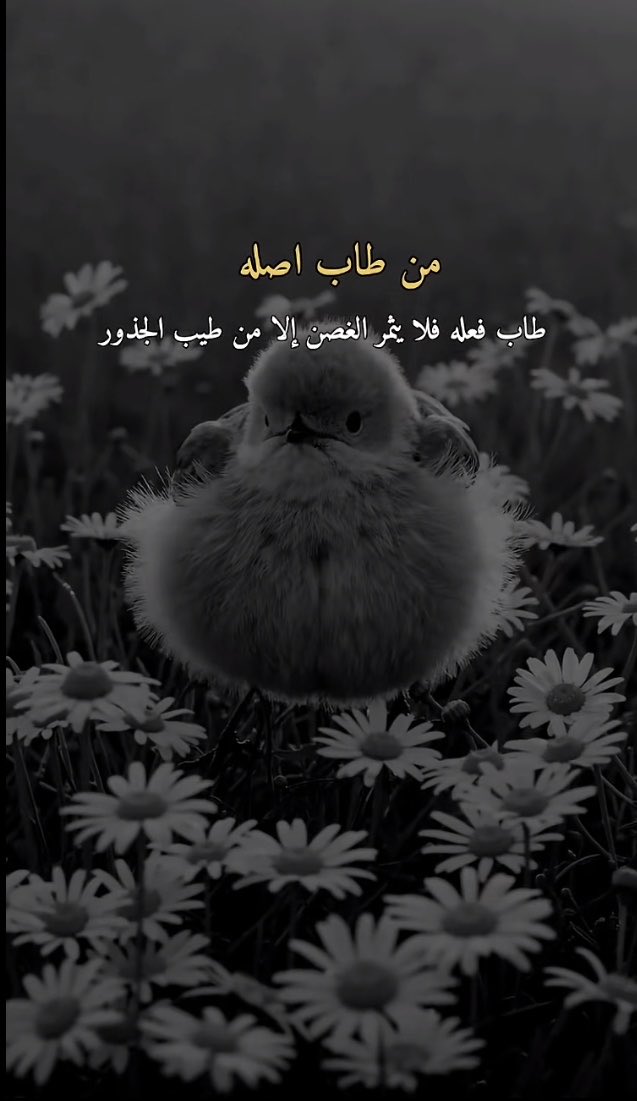 Albhaaa (@albhaa12) on Twitter photo 