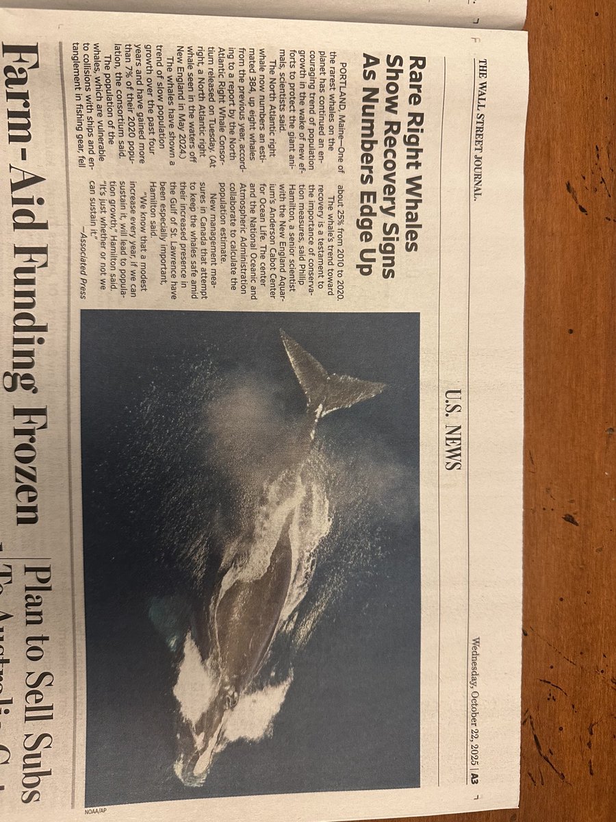 sharpwill's tweet image. Good news story of the day