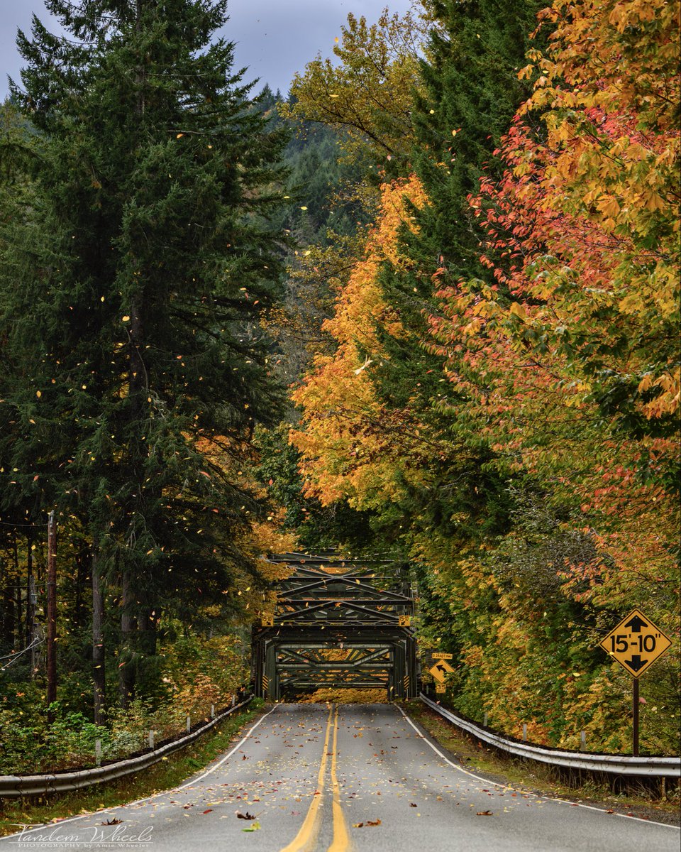 MimiRitZ244's tweet image. Sean took me on a scenic drive to see fall colors at Baker Lake. Needed a break from the house. Healing is going well, but I felt antsy &amp;amp; miss my favorite time of year. Now resting at home after my adventure. Here are a few I quickly edited 🍁

#pnw #Autumn #FallColors #wawx