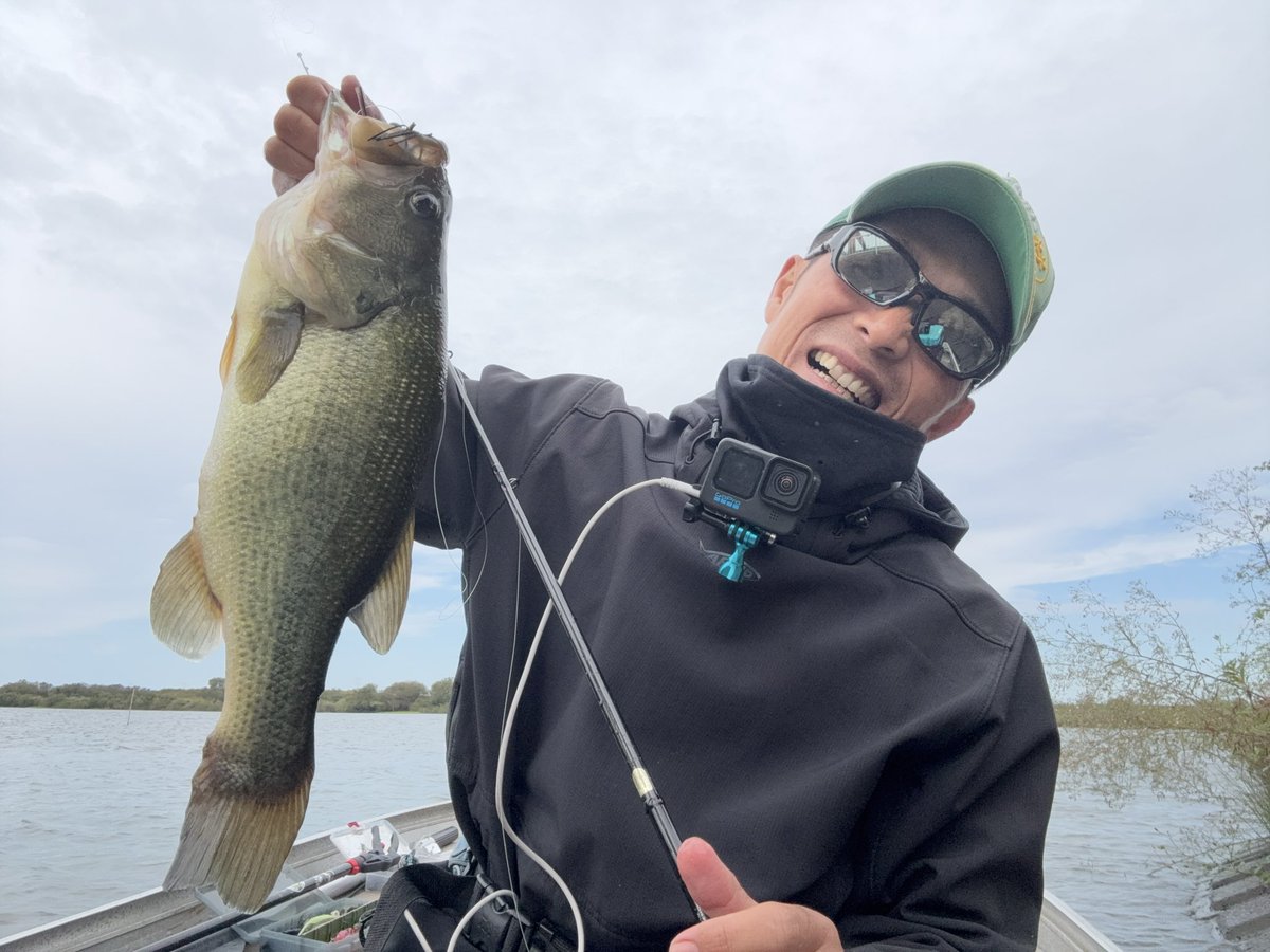 ユッティ 2点 トネチッタ tonecitta (@glitters83) / Posts / X