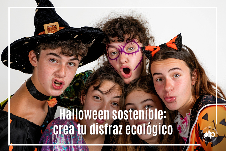 Es hora de vivir un Halloween sostenible, ¡creando tu propio disfraz!

Inspírate y marca la diferencia esta celebración. 🎃♻️😌🙌