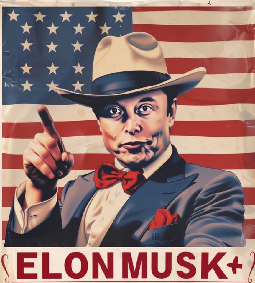 Not Elon Musk tweet media