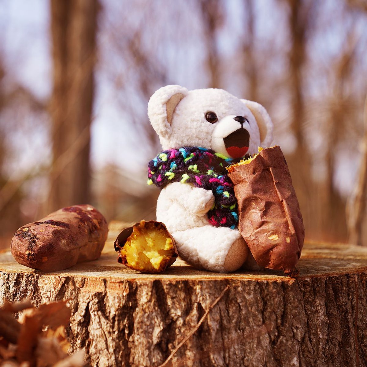 fafa_bear's tweet image. きょうは、おいもほりのひ☆
げっとしたおいもでやきいもだよ～♪