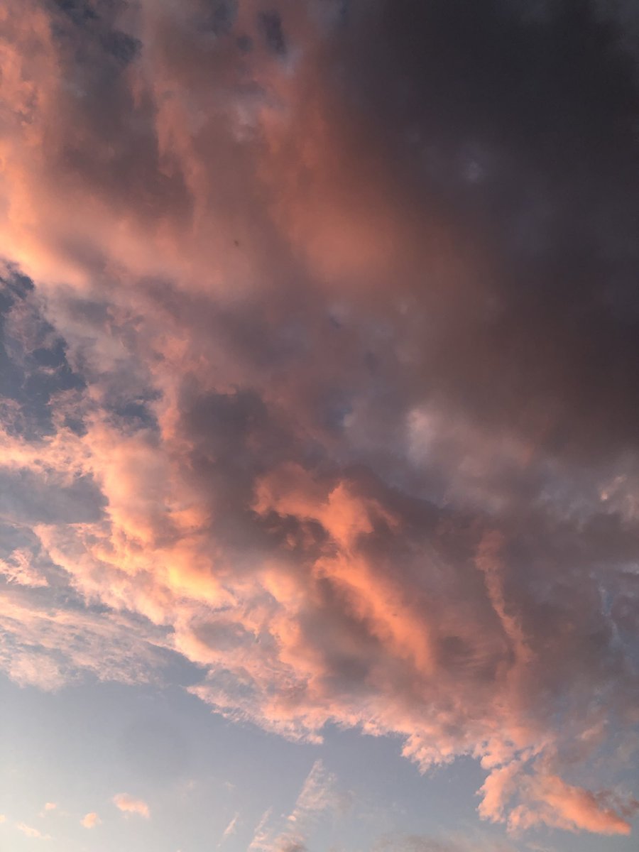 Sunflowerfy tweet media