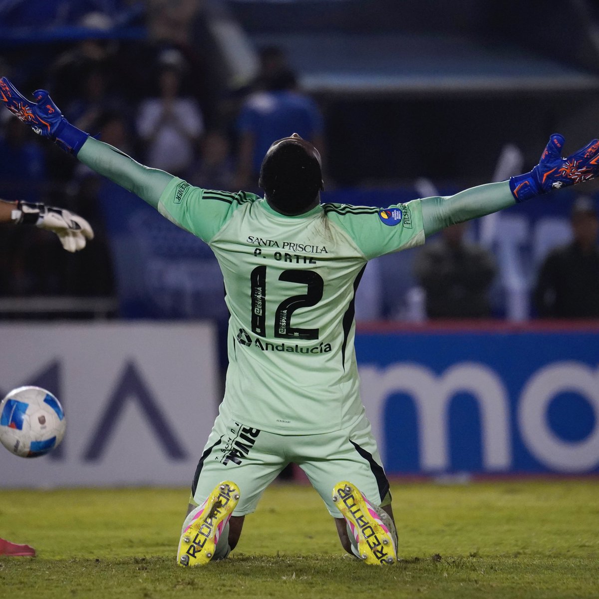 Gracias... eterno, leyenda <a href="/CSEmelec/">Club Sport Emelec</a> 

#TribunaEléctrica #Emelec